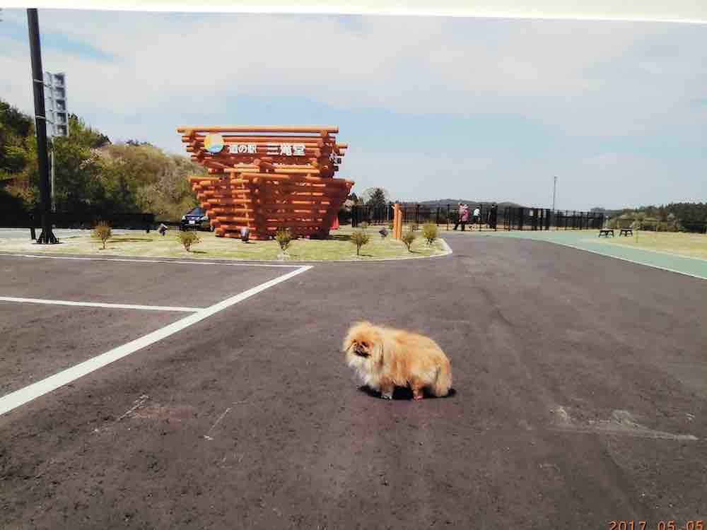 投稿された画像