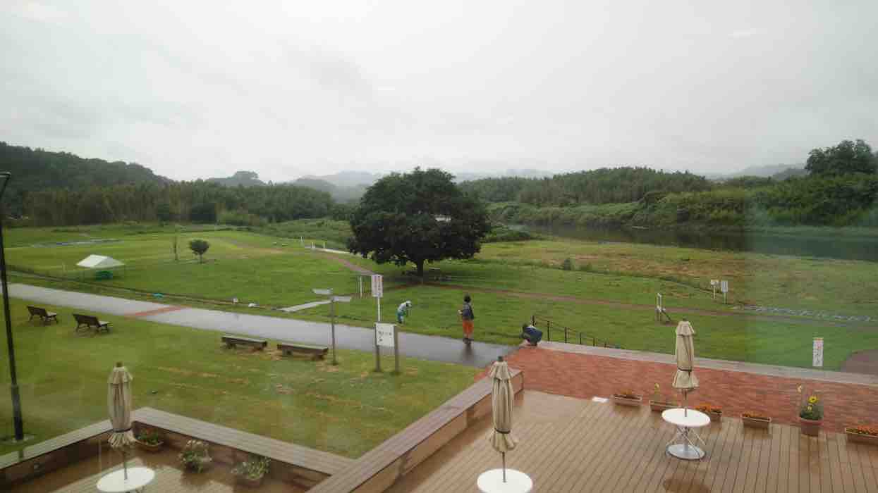 投稿された画像