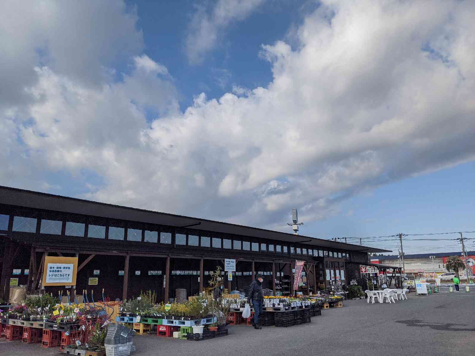 投稿された画像