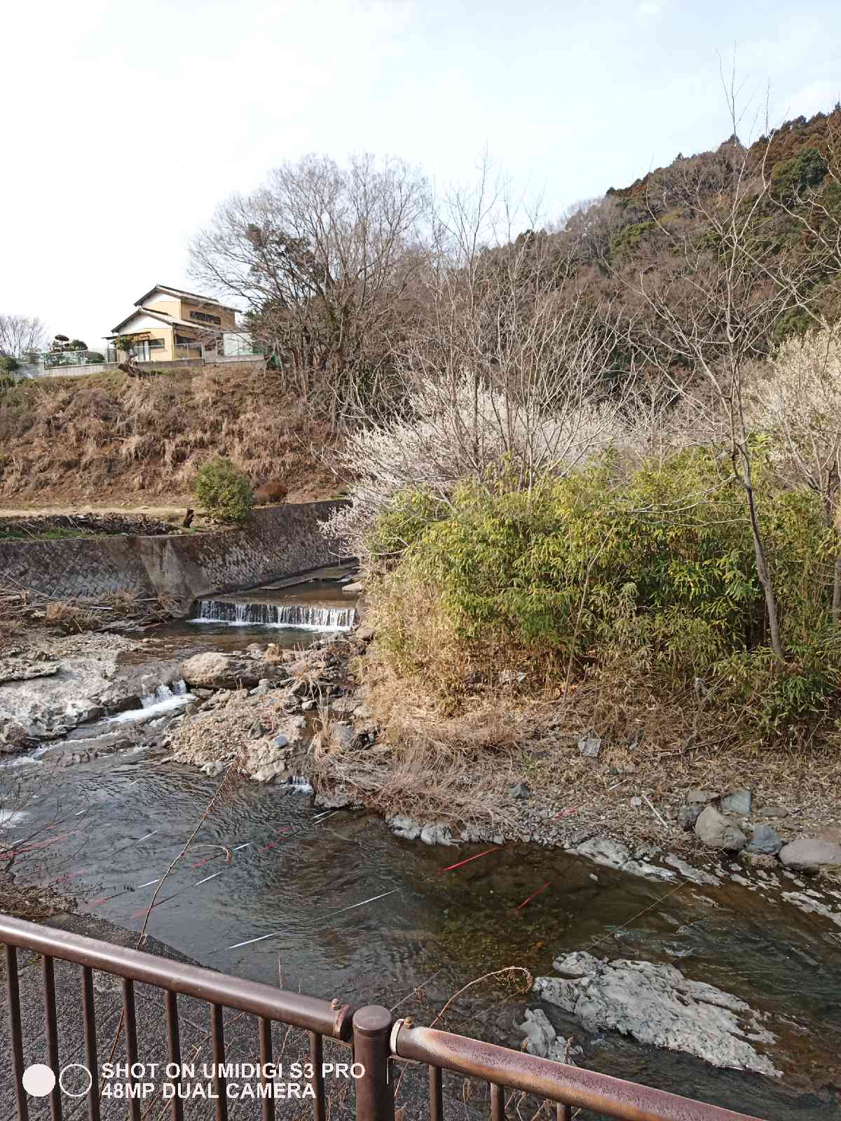 投稿された画像