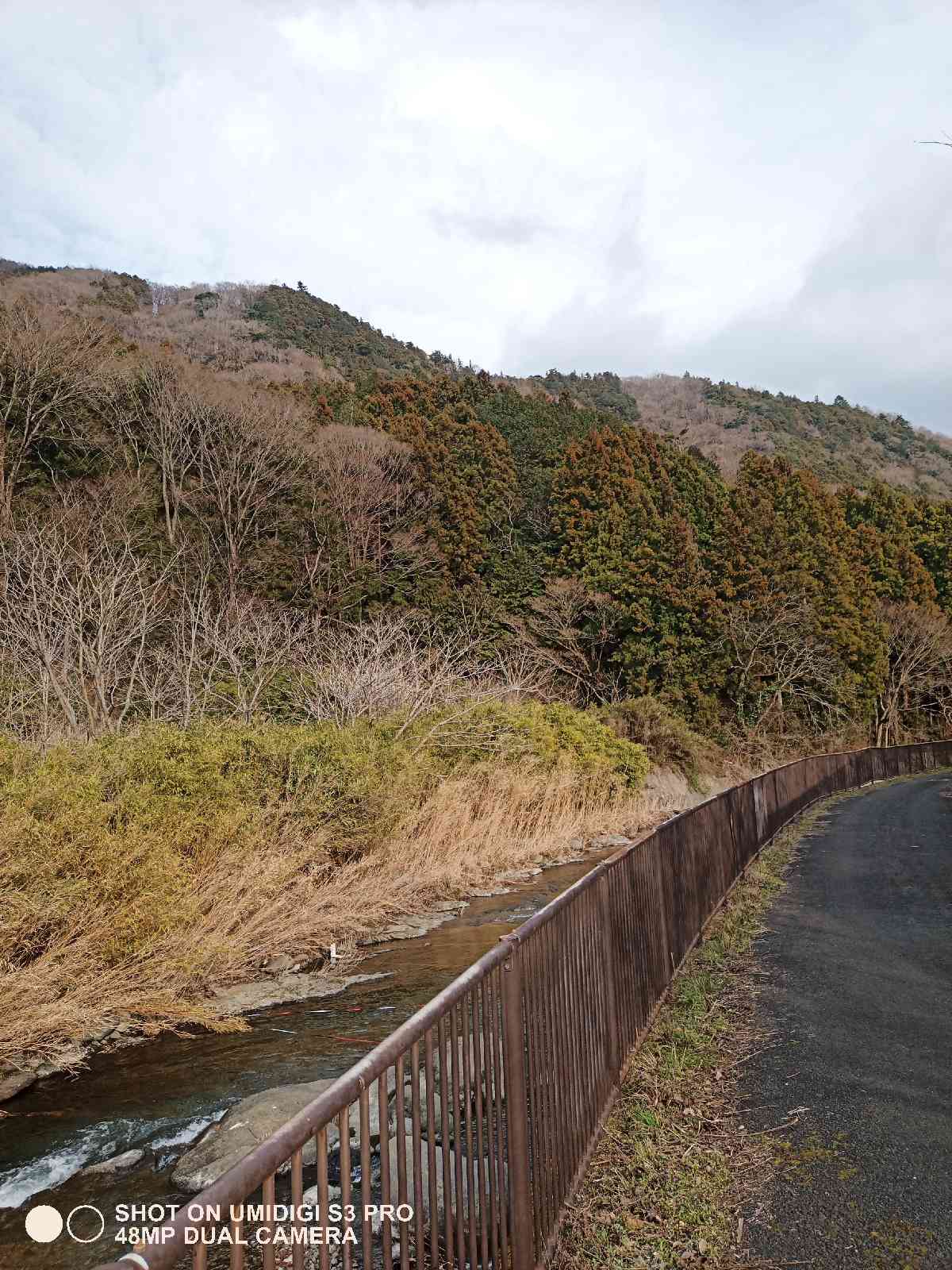 投稿された画像