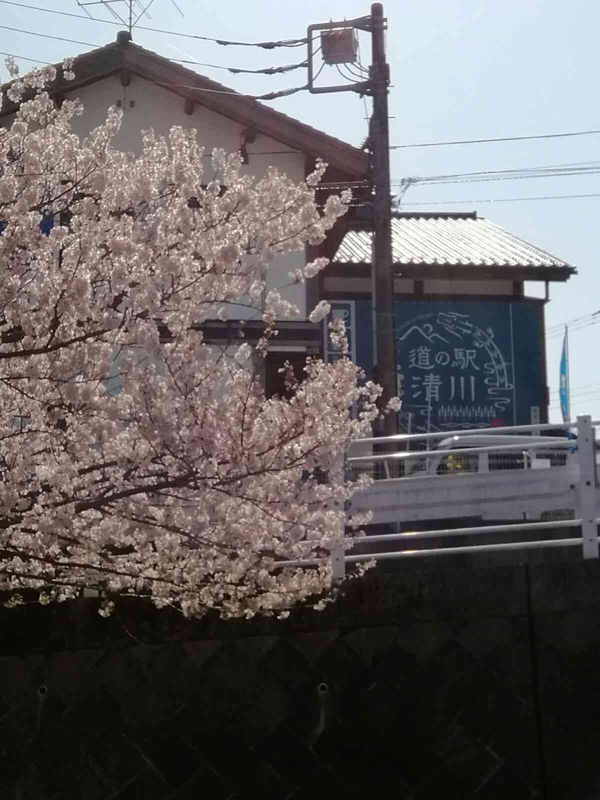 投稿された画像