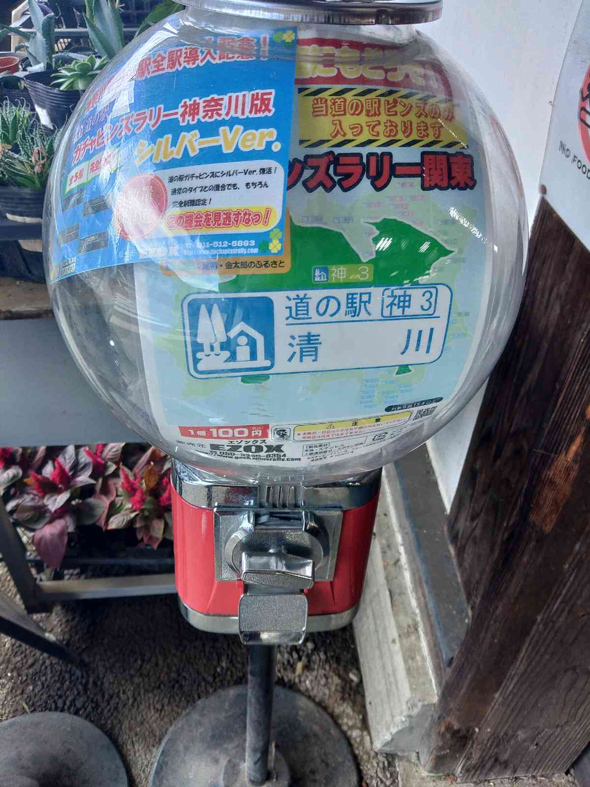 道の駅 清川の写真