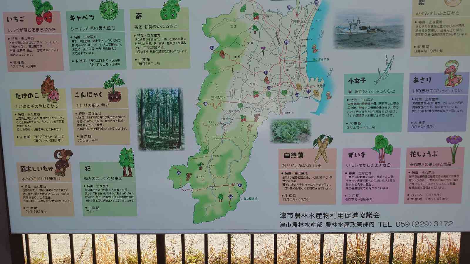 投稿された画像