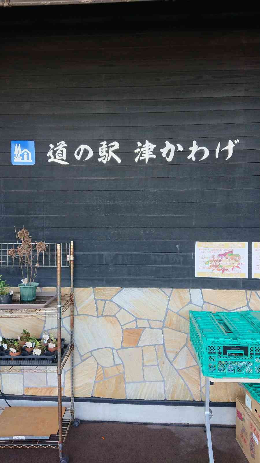 投稿された画像