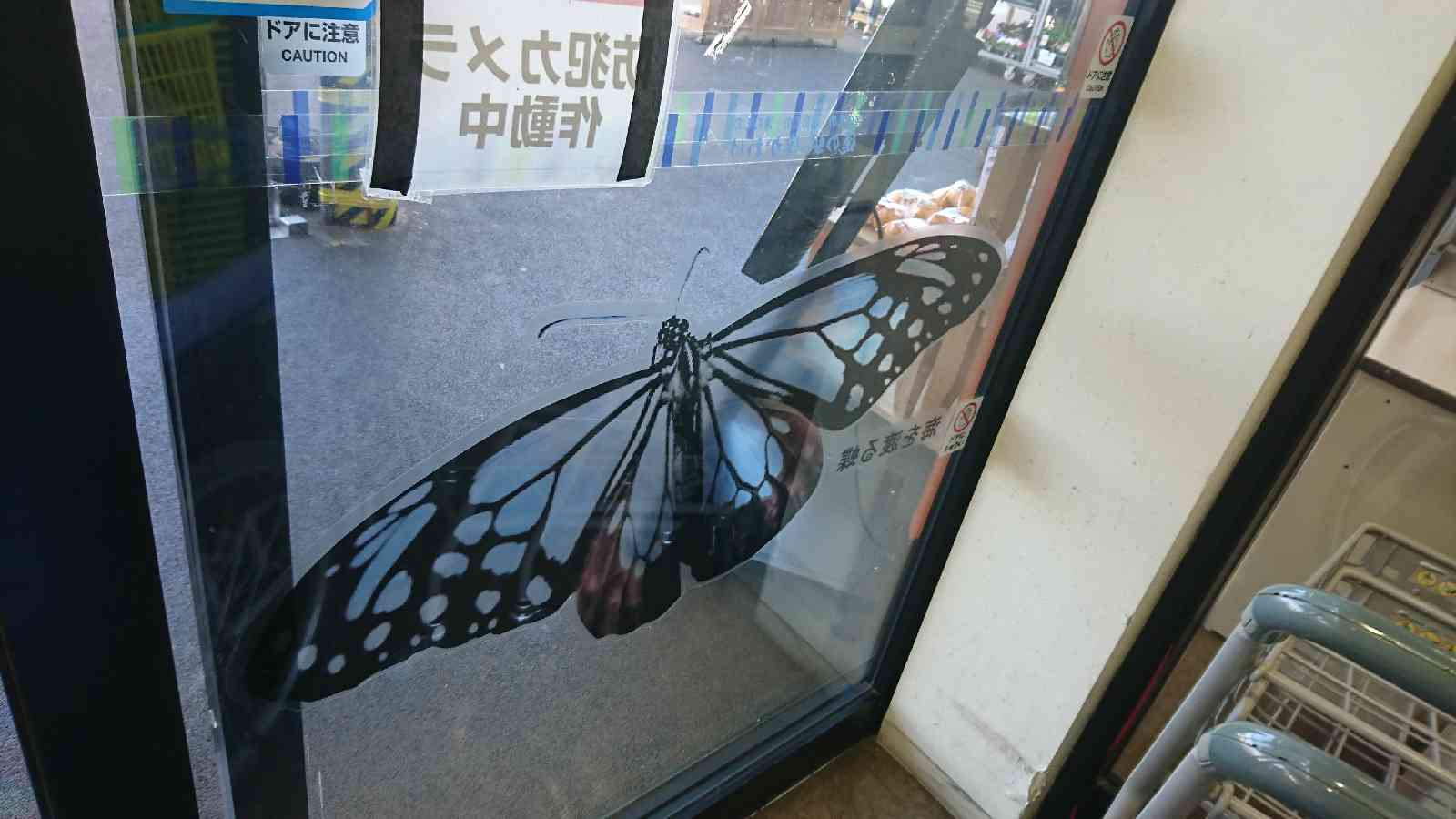 道の駅 津かわげの写真