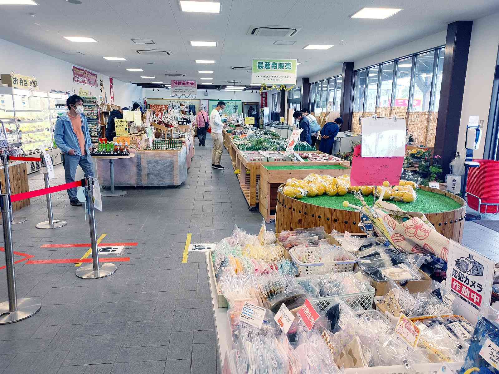 投稿された画像