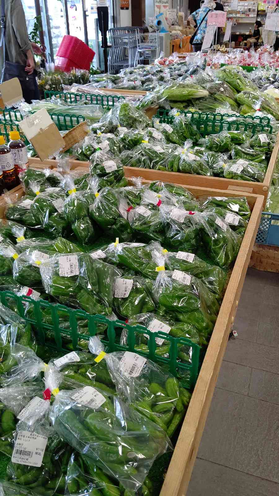 投稿された画像