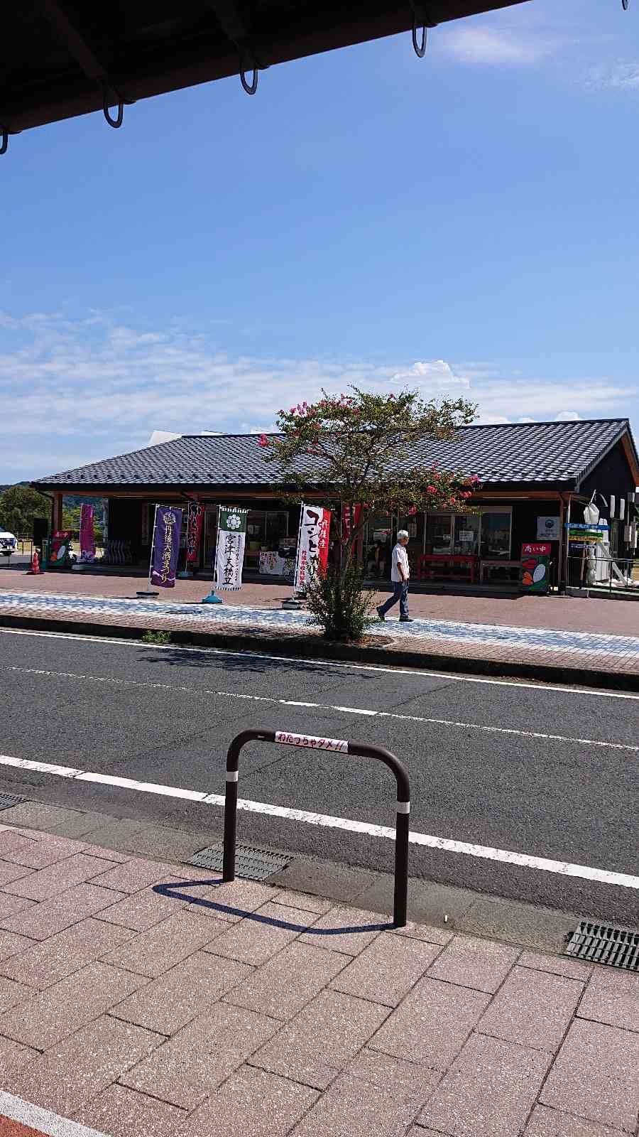 投稿された画像