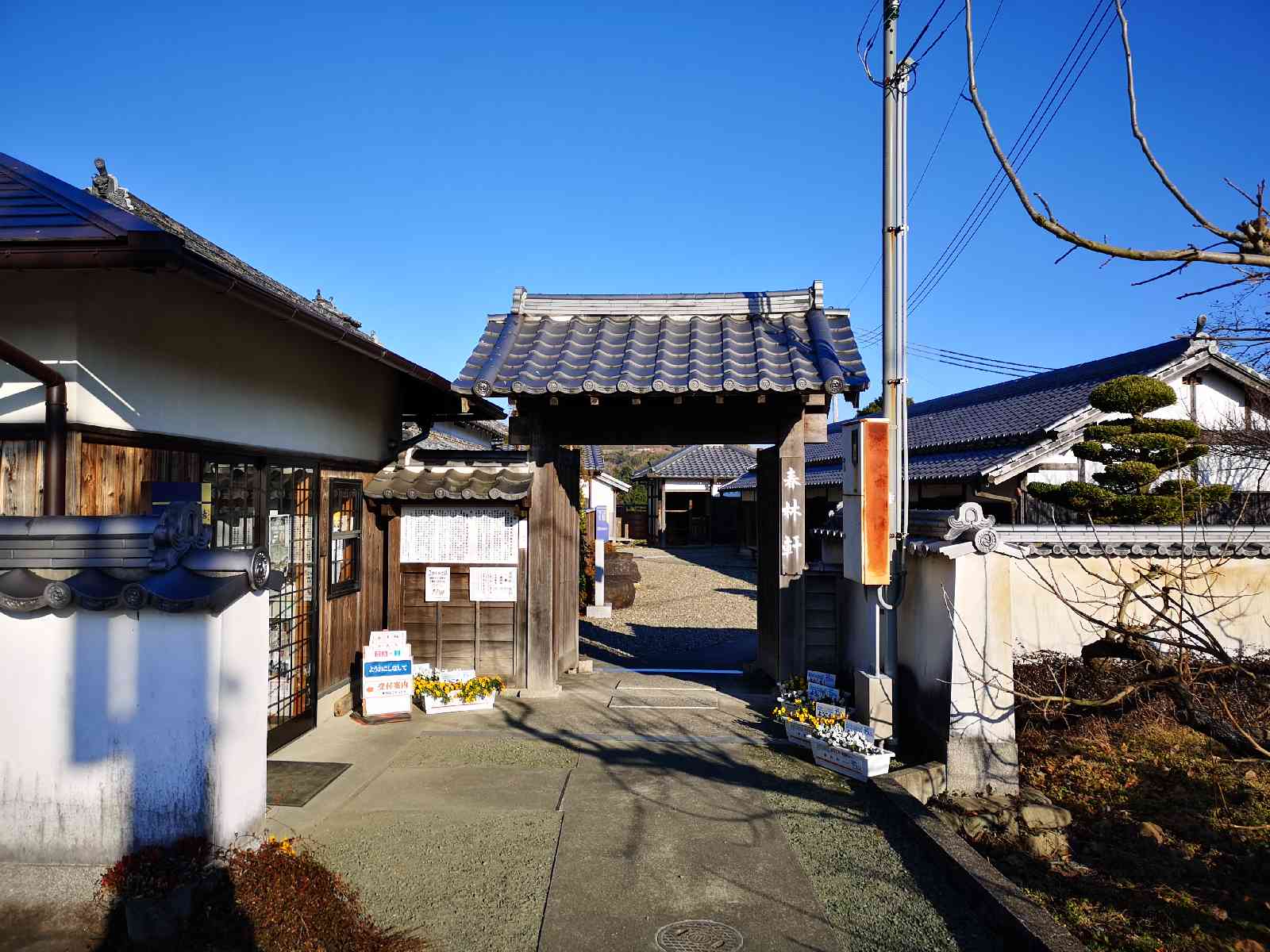 投稿された画像