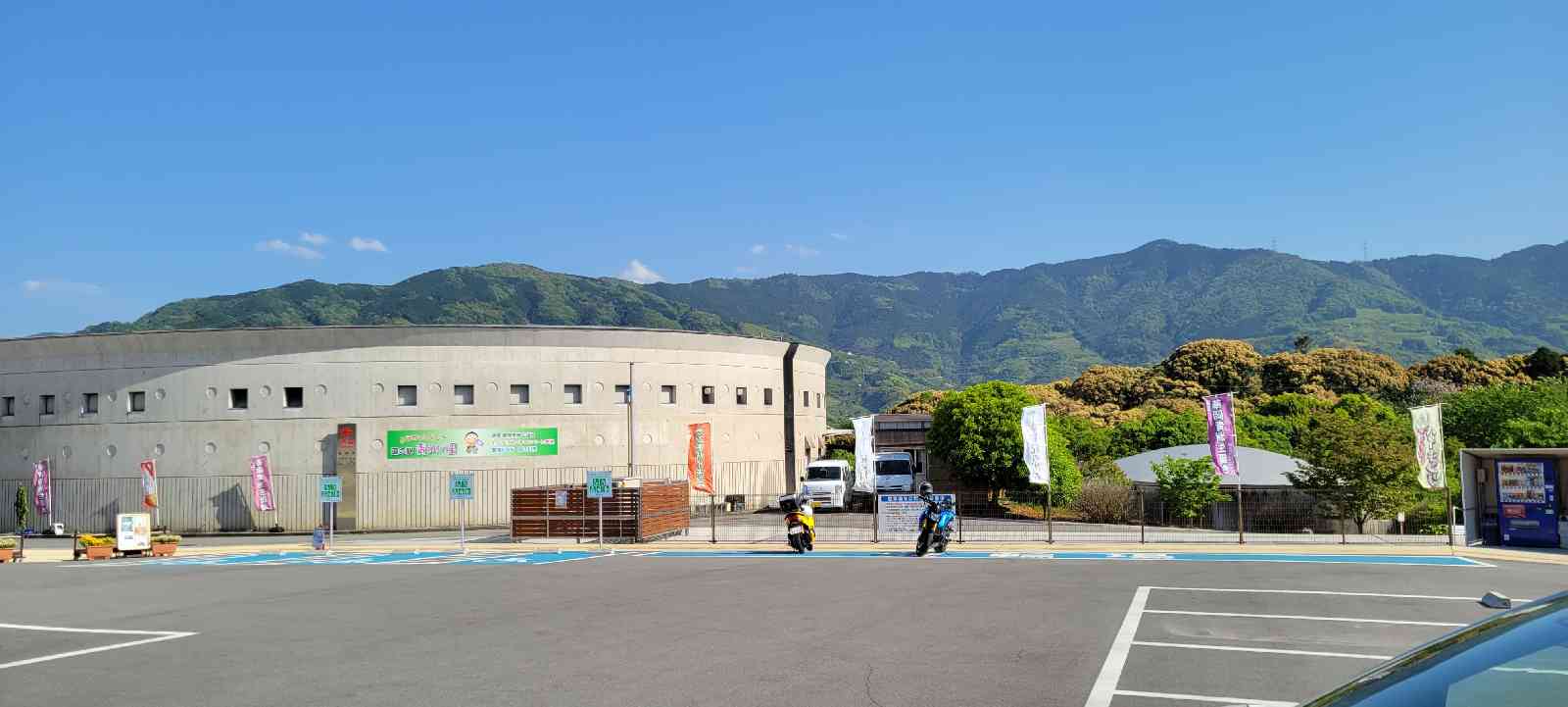 投稿された画像