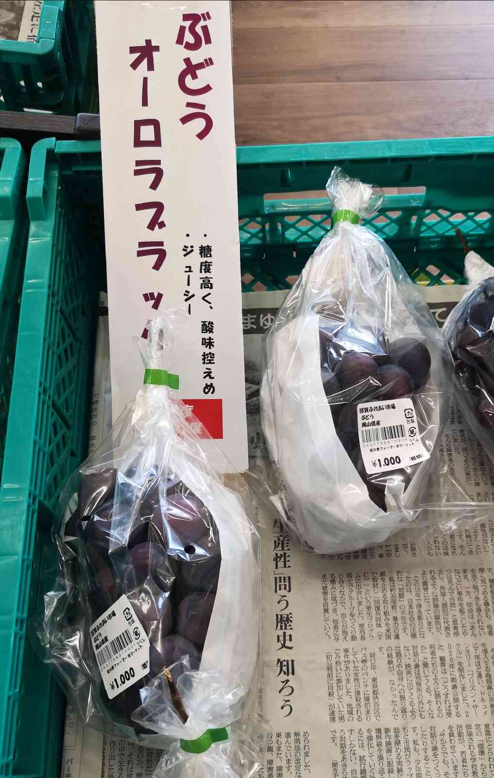 道の駅 青洲の里の写真（3枚目）