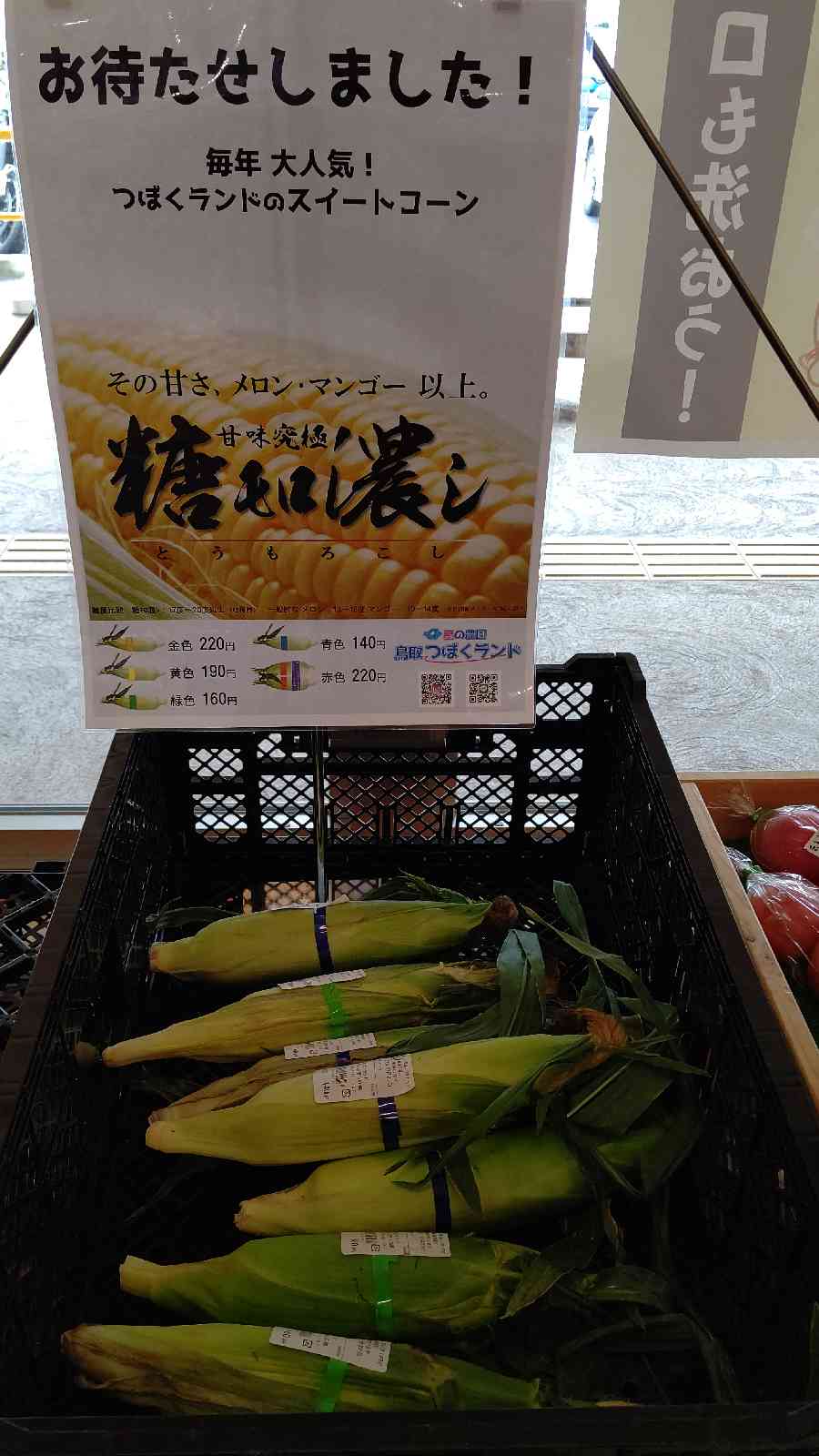 投稿された画像