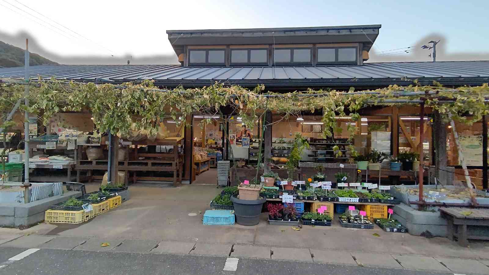 投稿された画像