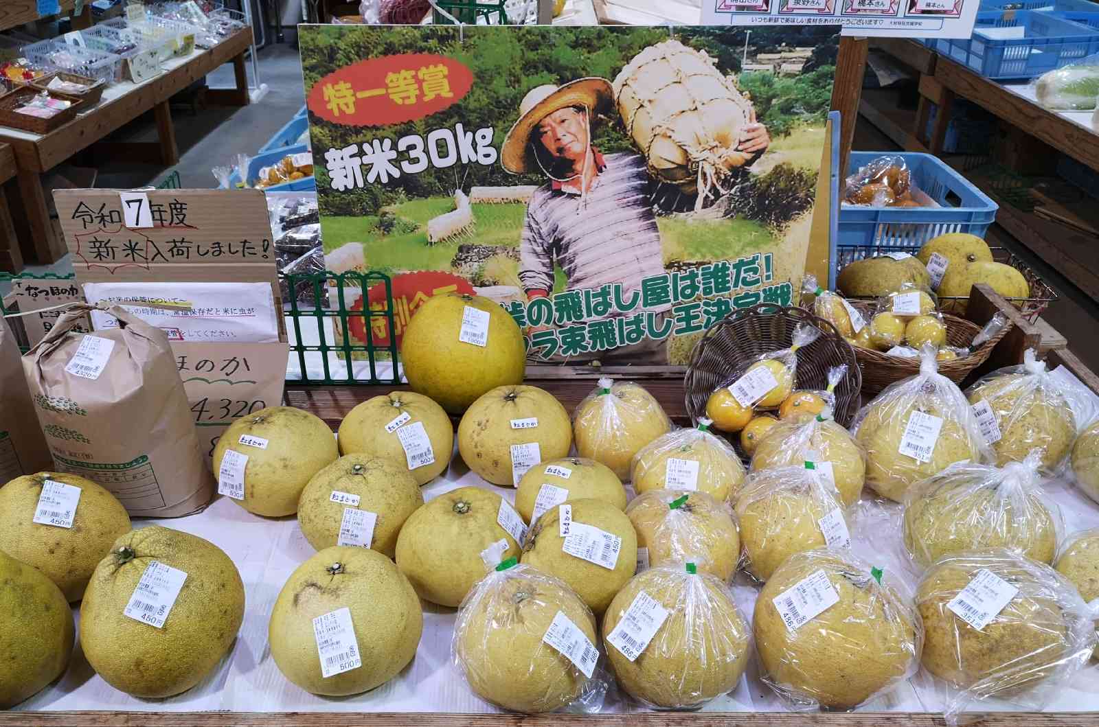 道の駅 長崎街道鈴田峠の写真