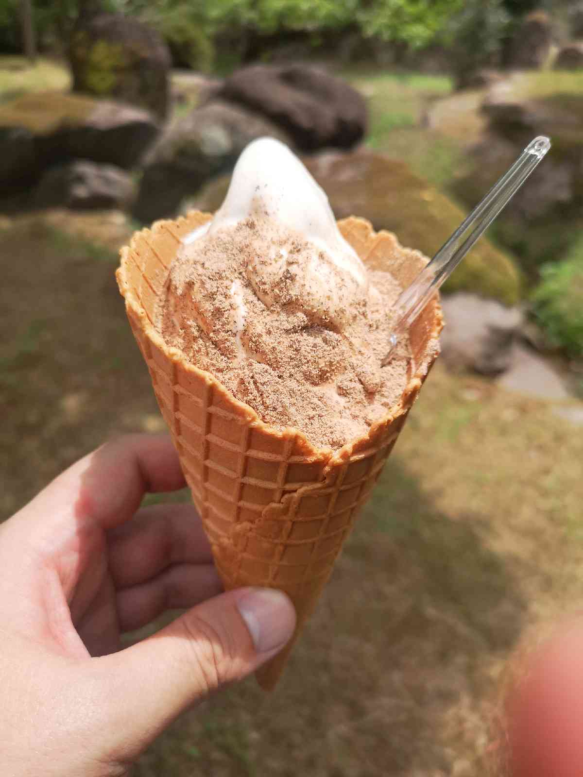 投稿された画像