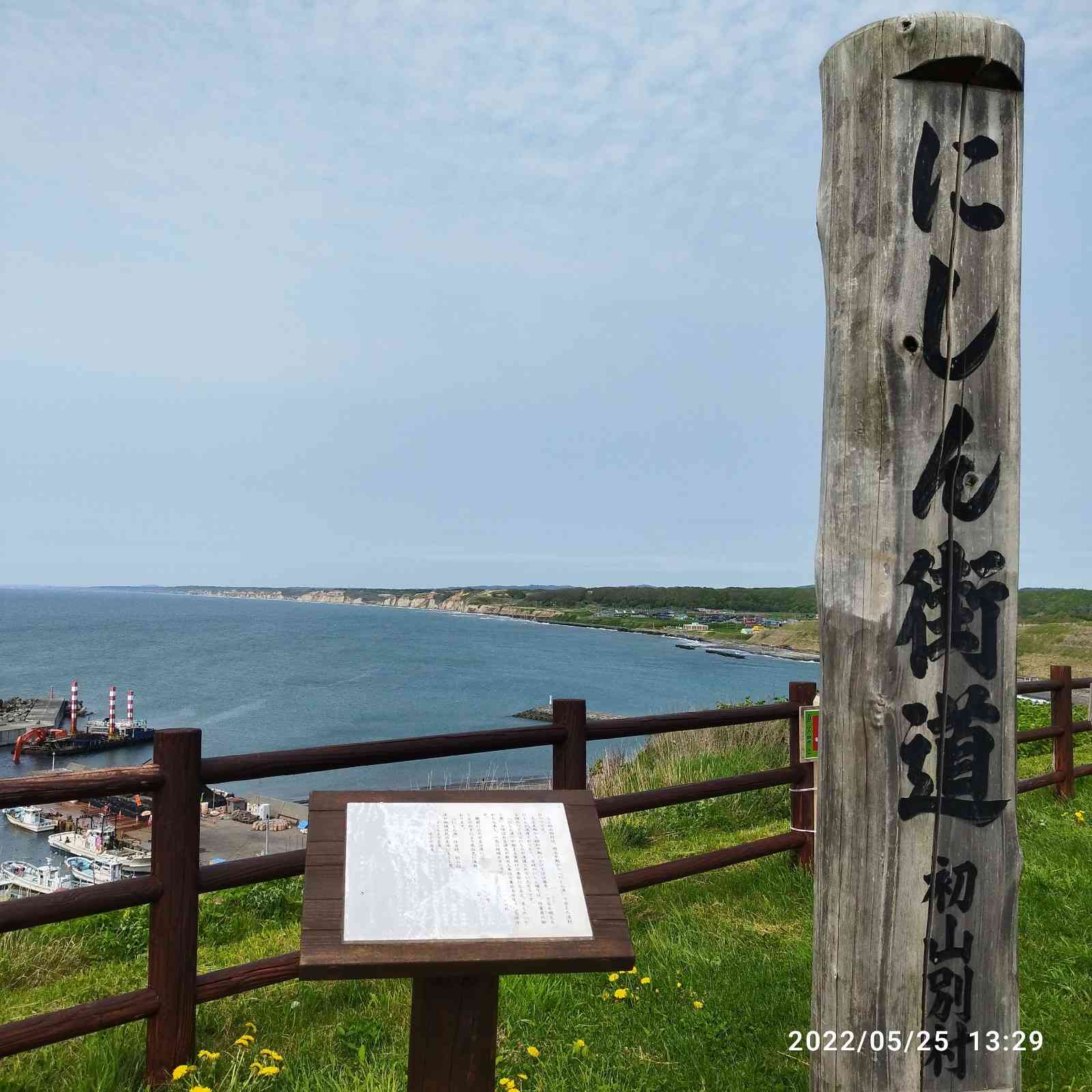 投稿された画像