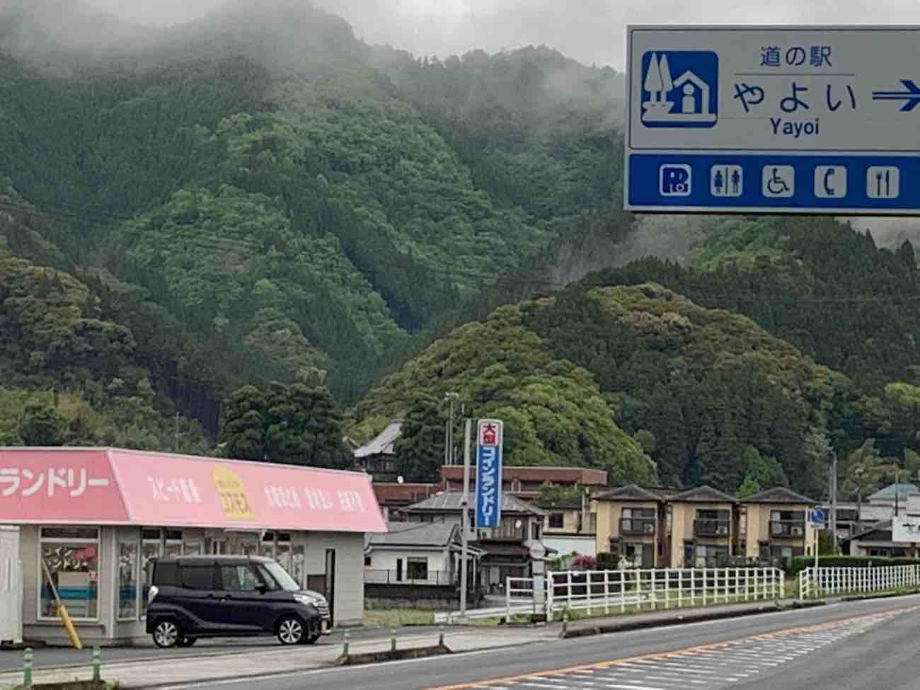 投稿された画像