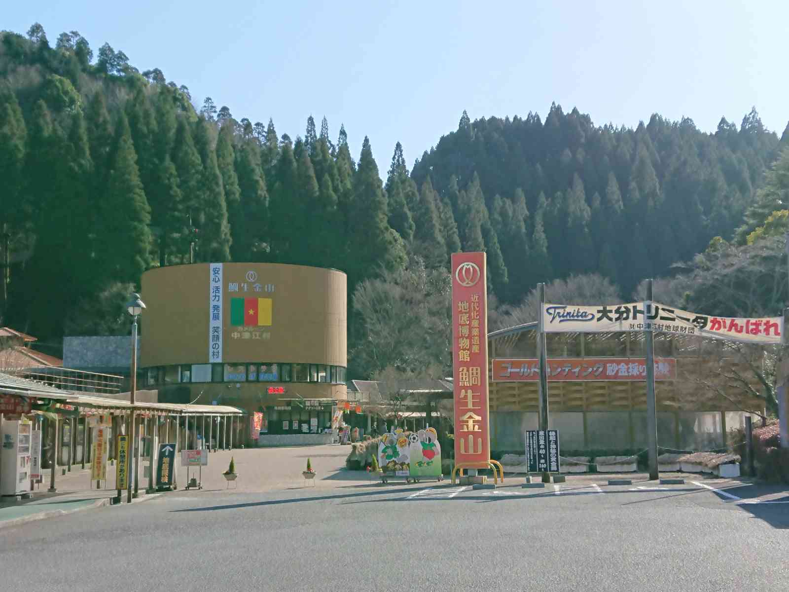 投稿された画像