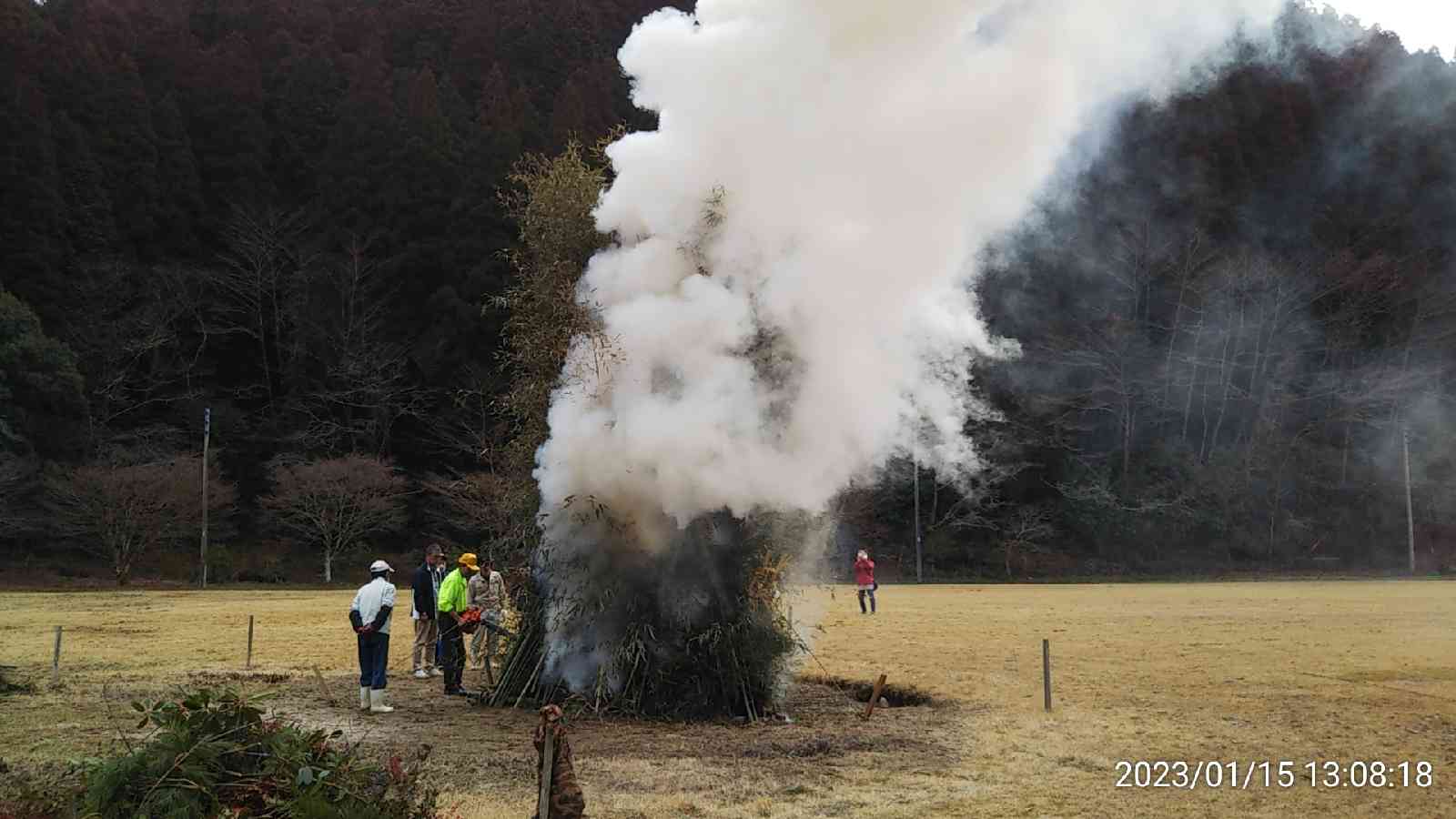 投稿された画像
