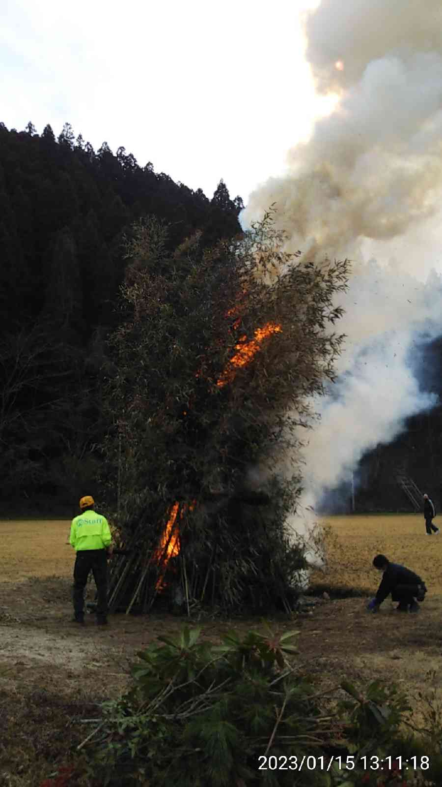 投稿された画像