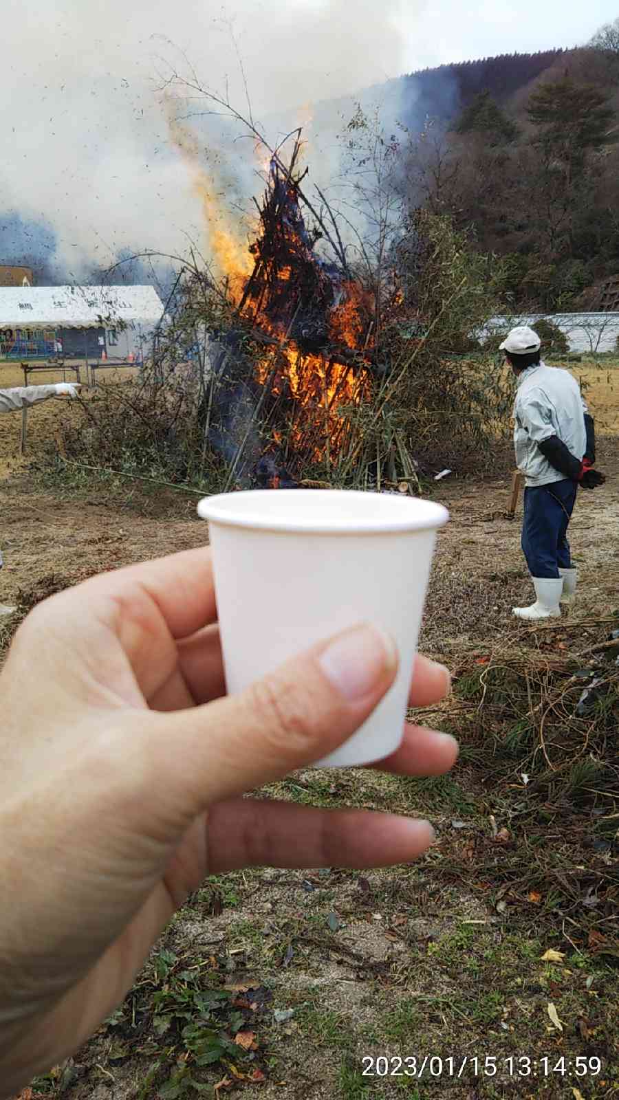 投稿された画像