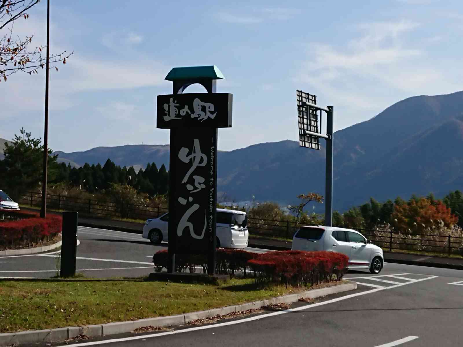 投稿された画像