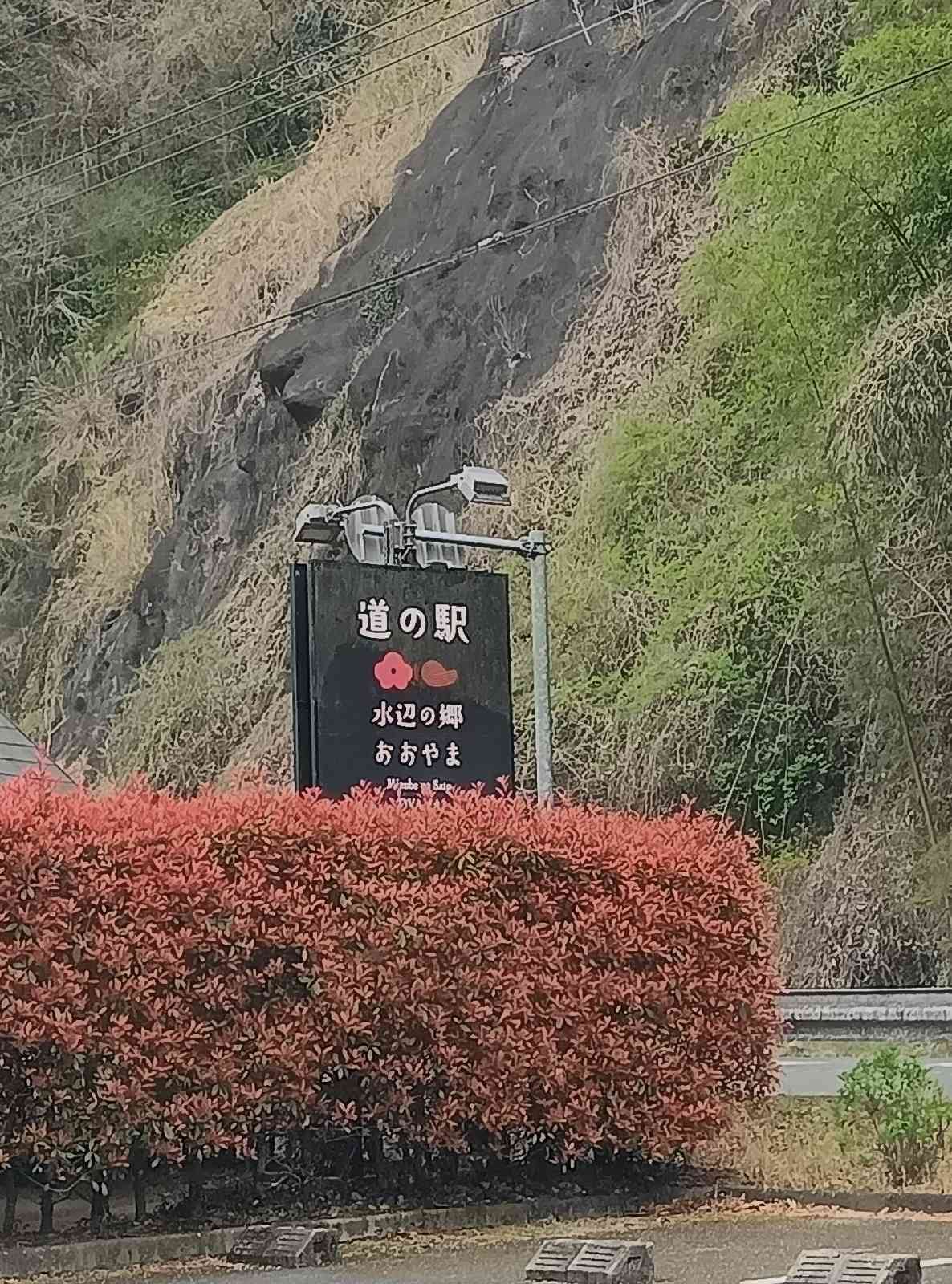 道の駅 水辺の郷おおやまの写真