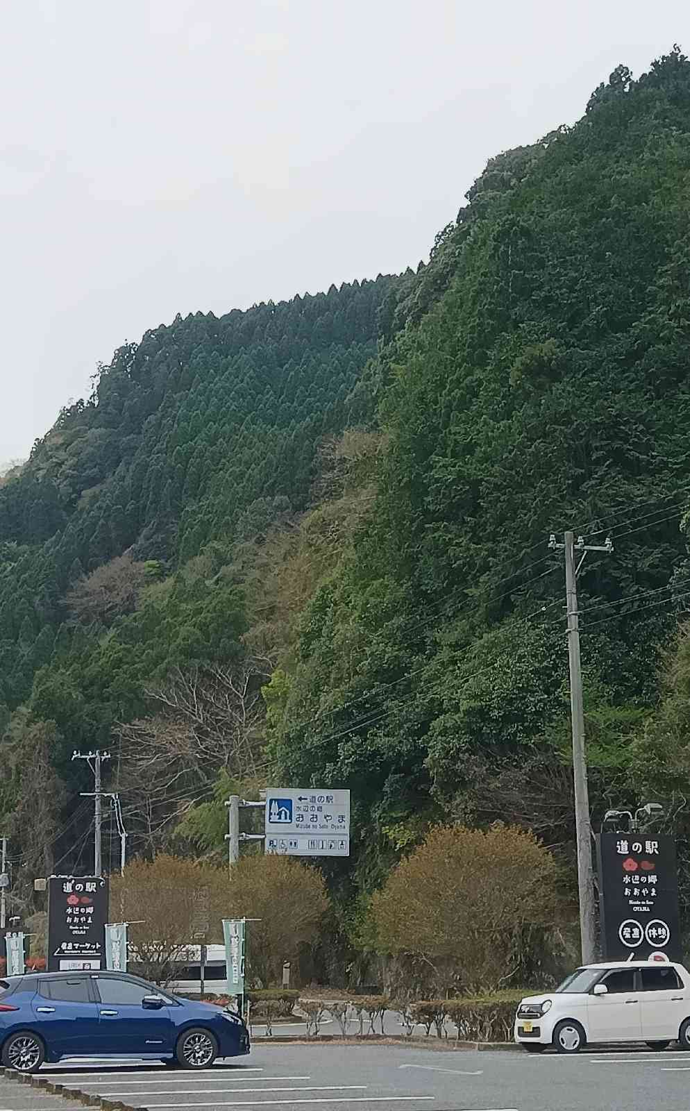 道の駅 水辺の郷おおやまの写真