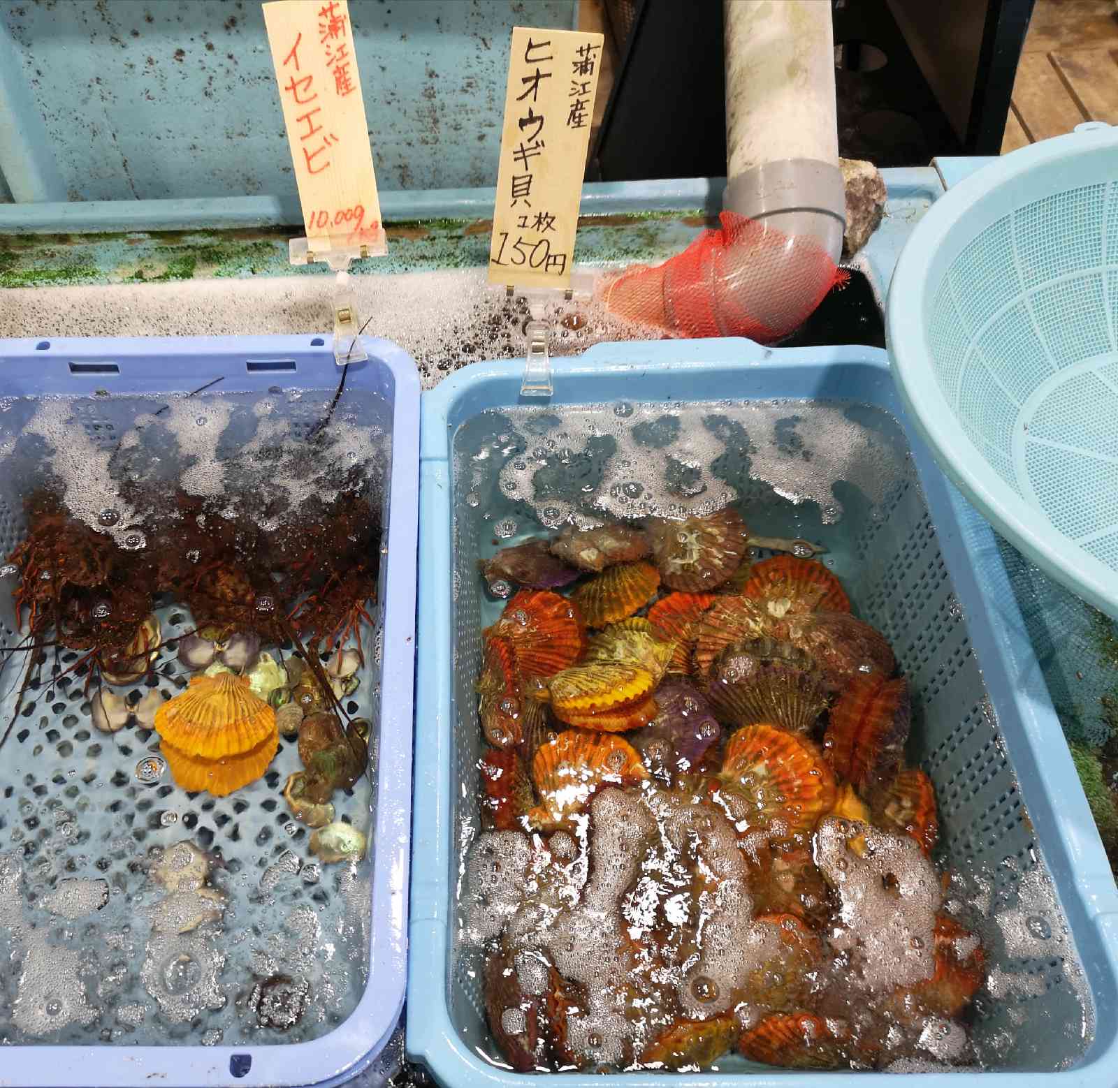 投稿された画像