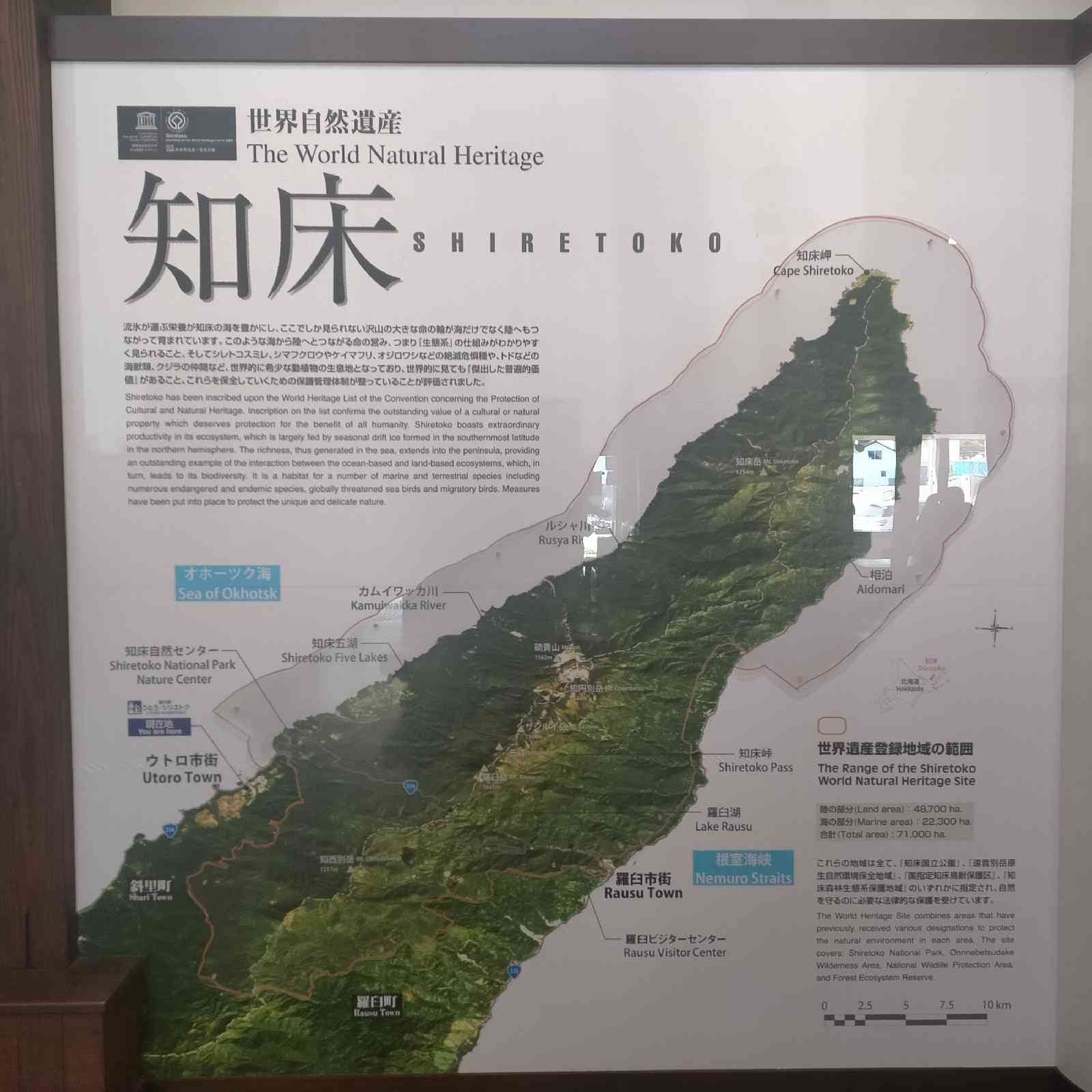 道の駅 うとろ・シリエトクの写真