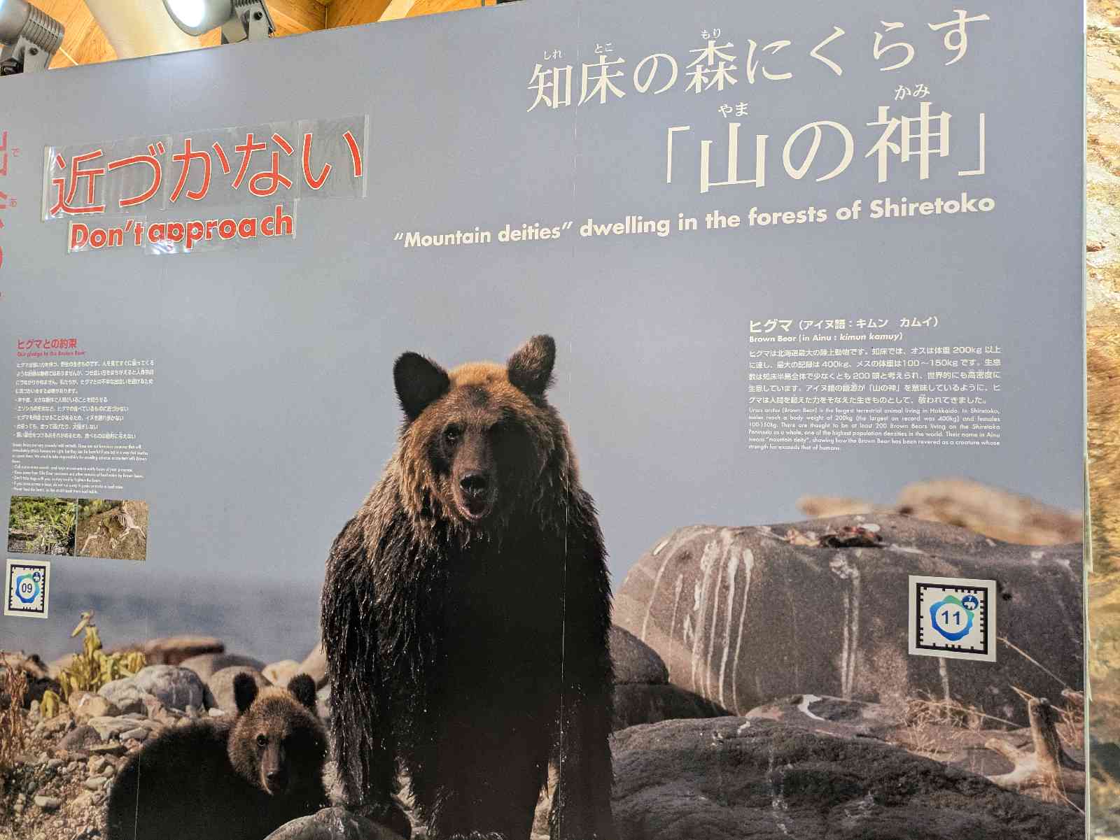 道の駅 うとろ・シリエトクの写真