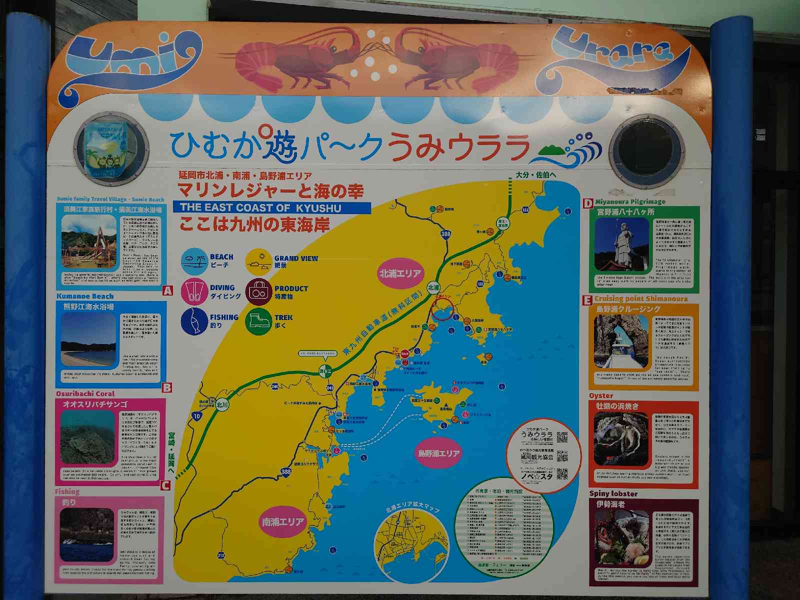 投稿された画像