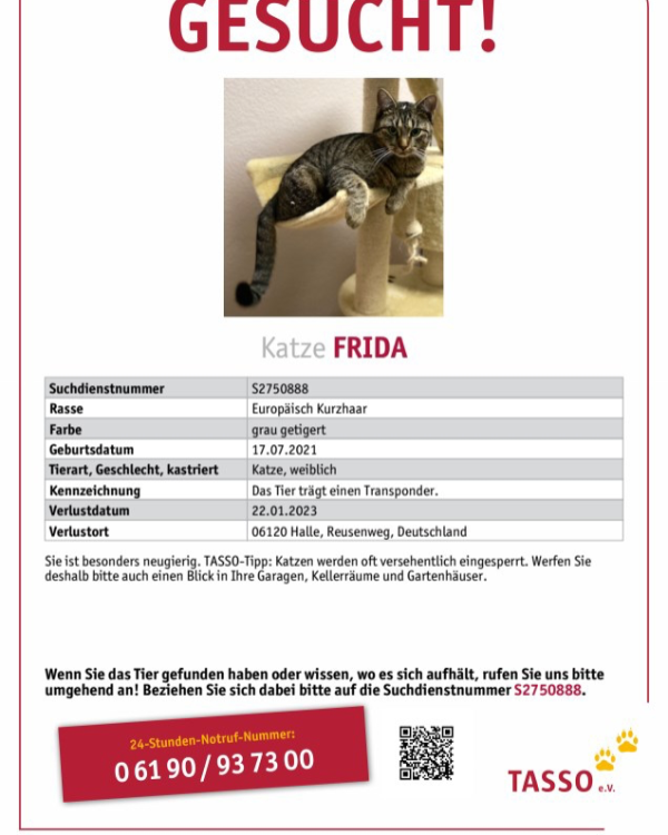 Missing Cat - Halle (Saale)