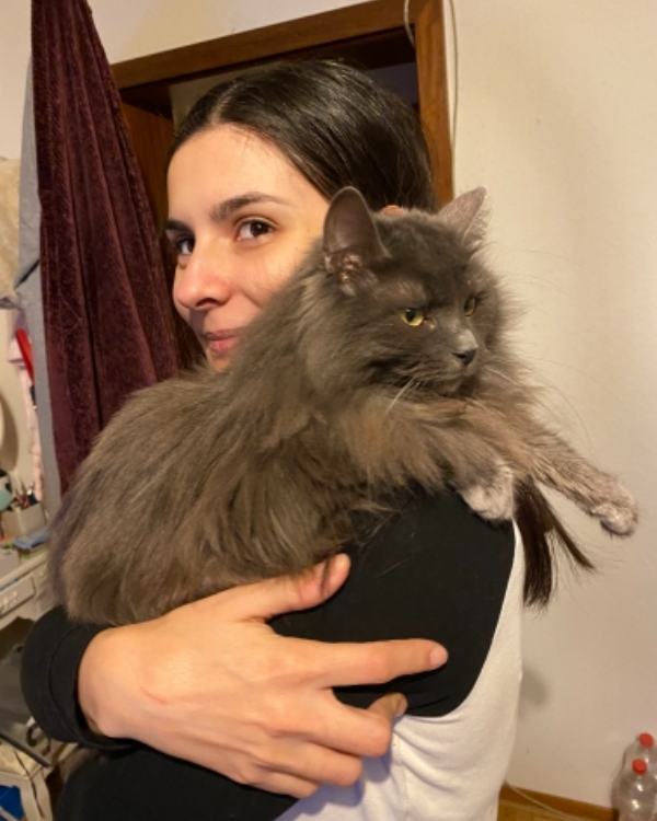 Missing Cat - Krautheim