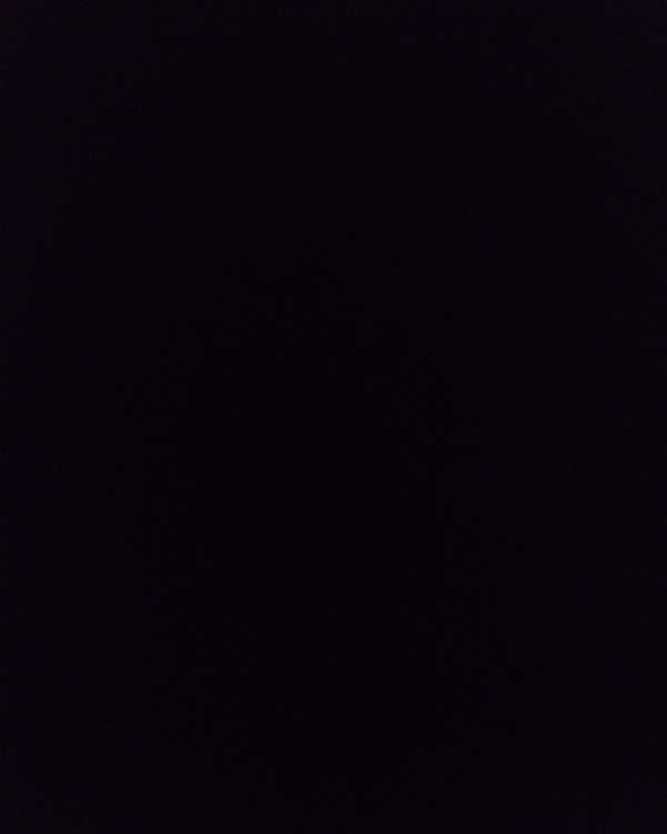 Found Cat - Saarhölzbach