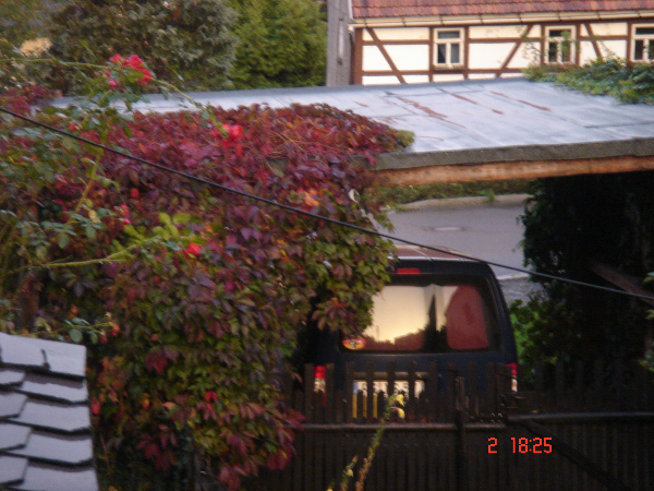 Missing Cat - Großschirma