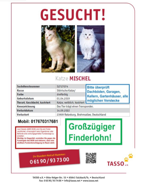 Missing Cat - Ratzeburg