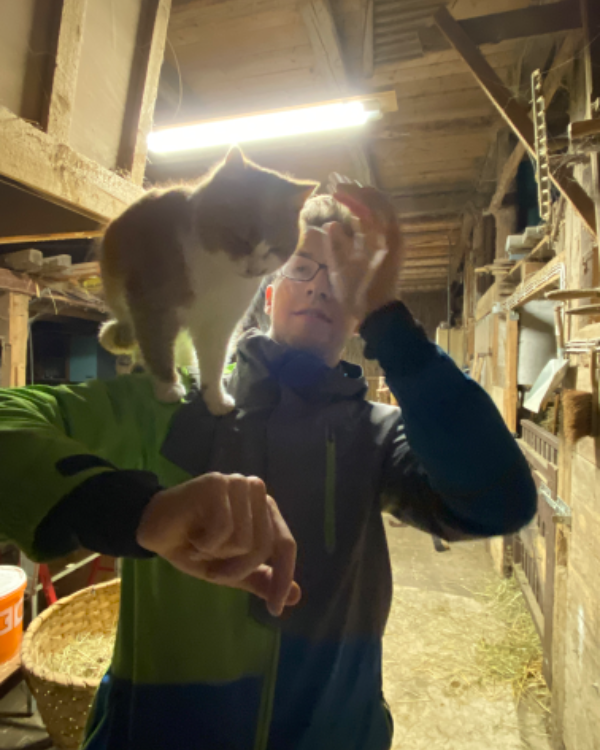 Missing Cat - Großhartmannsdorf