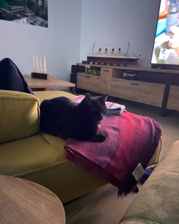 Missing Cat - Karstädt