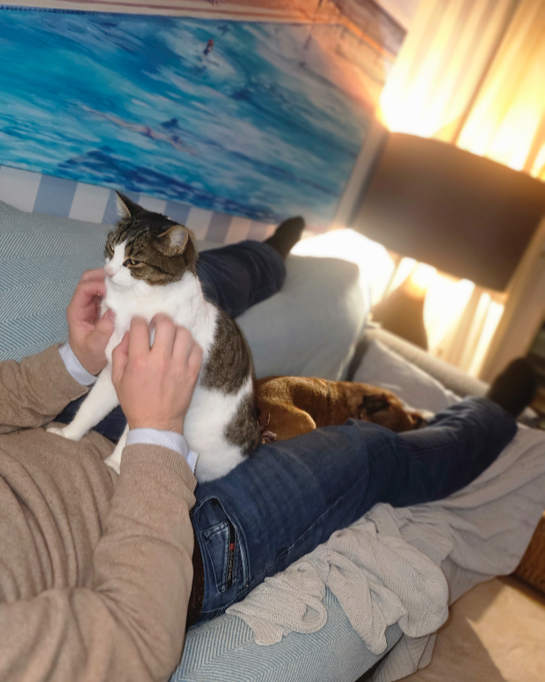 Missing Cat - Berg,  Mini, weiblich