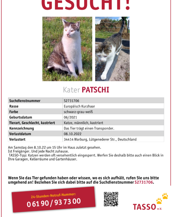Missing Cat - Warburg