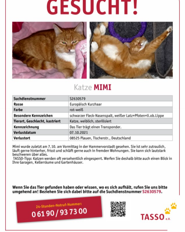 Missing Cat - Plauen