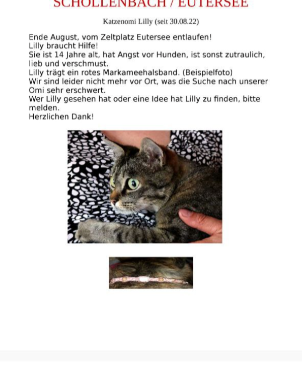 Missing Cat - Oberzent