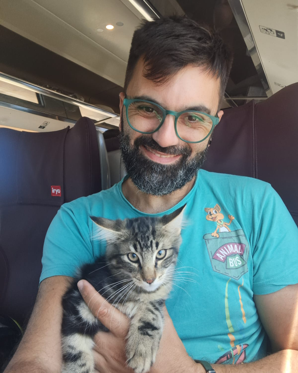 Missing Cat - Castilleja de Guzmán