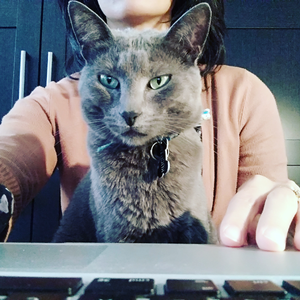 Missing Cat - Espartinas