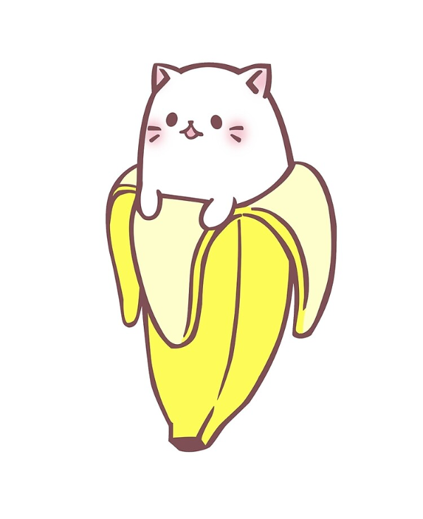 Missing Cat - Torrejón de Ardoz