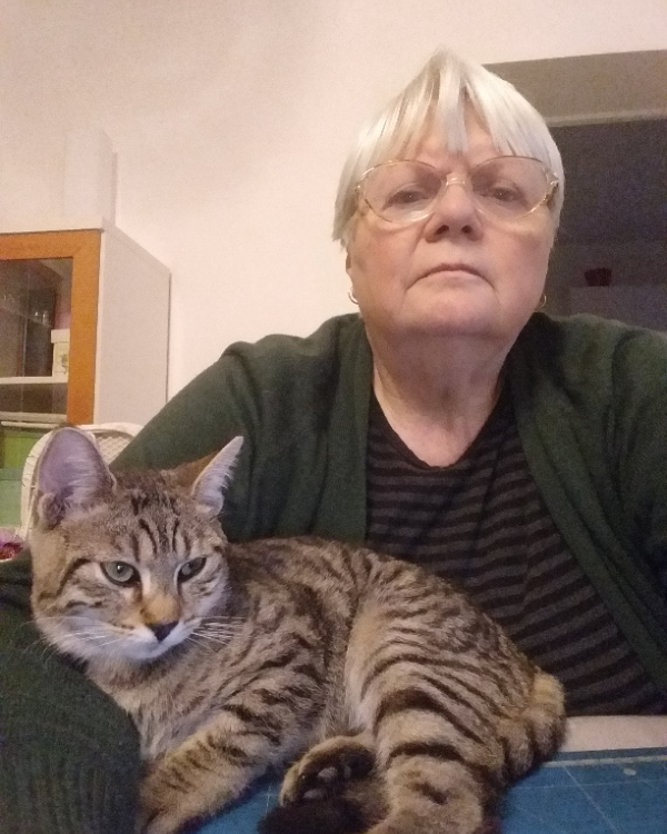 Missing Cat - Chahaignes