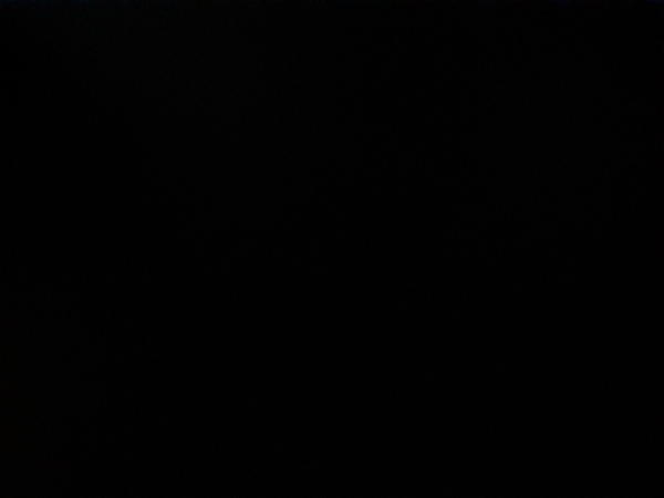 Missing Cat - Chauny