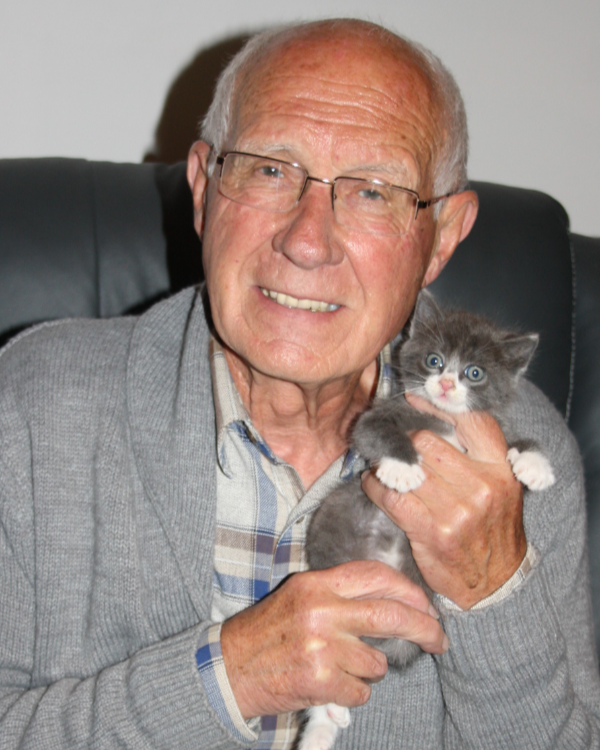 Found Cat - Saint-Ambroix